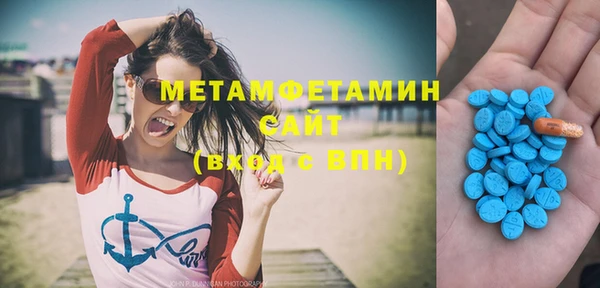 шишки Бородино