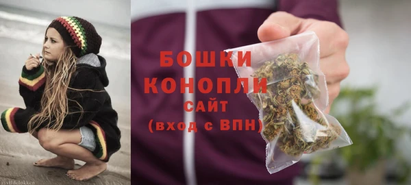 шишки Бородино