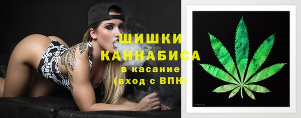 твердый Богородицк