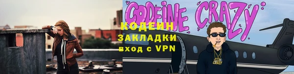 шишки Бородино