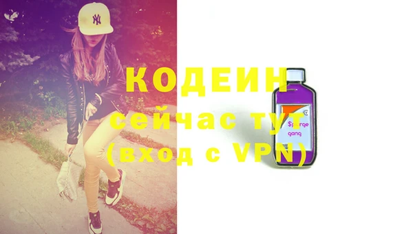 шишки Бородино