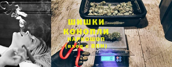 ГАЛЛЮЦИНОГЕННЫЕ ГРИБЫ Тавда