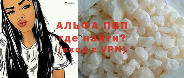 шишки Бородино
