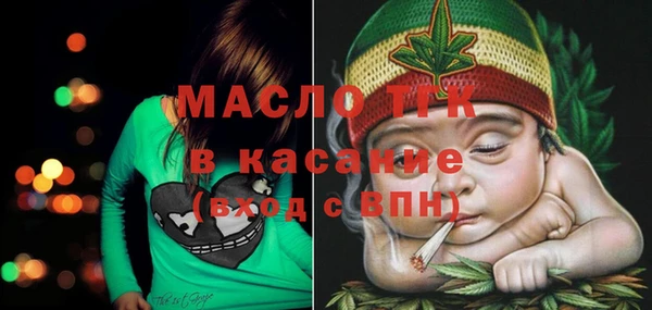 шишки Бородино