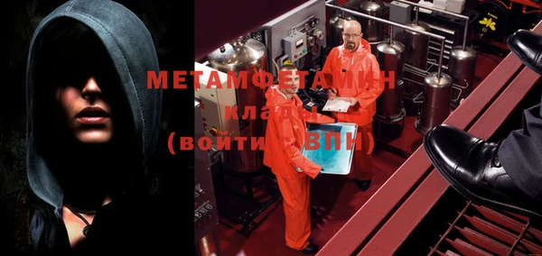 шишки Бородино