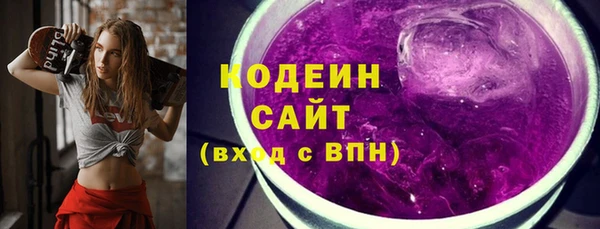 шишки Бородино