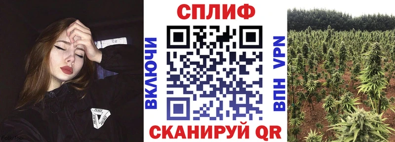 Конопля семена  kraken маркетплейс  Колпашево 